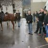 Blagoslov konj 2013_021